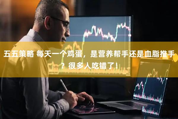 五五策略 每天一个鸡蛋，是营养帮手还是血脂推手？很多人吃错了！