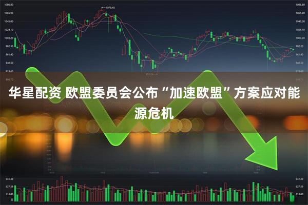 华星配资 欧盟委员会公布“加速欧盟”方案应对能源危机