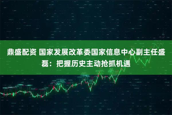 鼎盛配资 国家发展改革委国家信息中心副主任盛磊：把握历史主动抢抓机遇