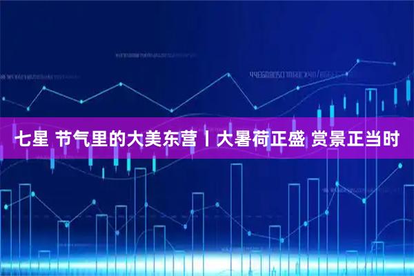 七星 节气里的大美东营丨大暑荷正盛 赏景正当时