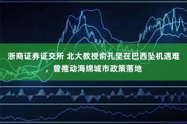 浙商证券证交所 北大教授俞孔坚在巴西坠机遇难，曾推动海绵城市政策落地