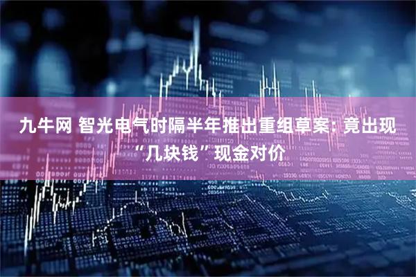 九牛网 智光电气时隔半年推出重组草案: 竟出现“几块钱”现金对价