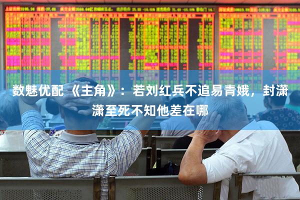 数魅优配 《主角》：若刘红兵不追易青娥，封潇潇至死不知他差在哪