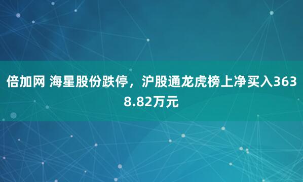 倍加网 海星股份跌停，沪股通龙虎榜上净买入3638.82万元